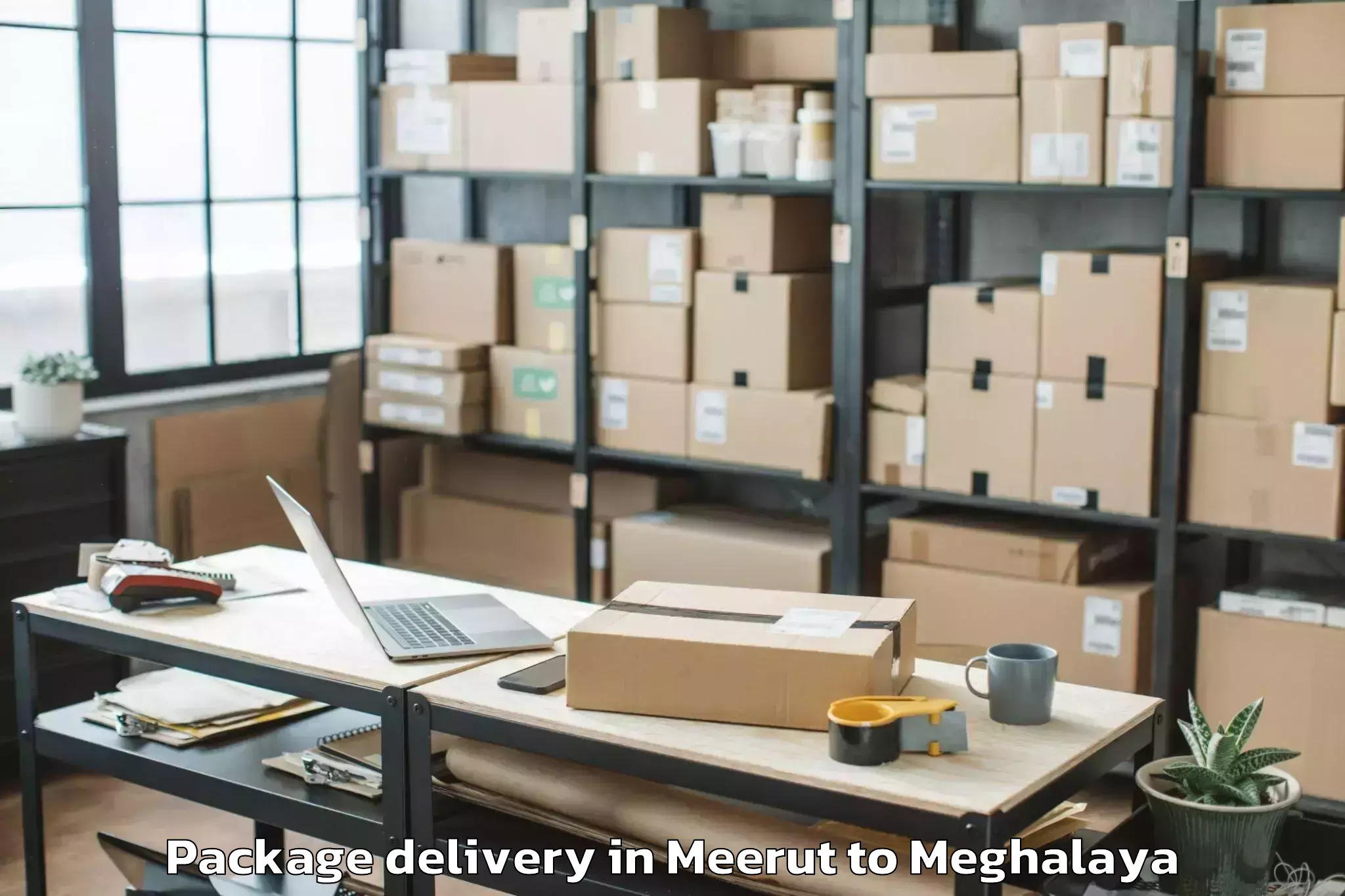 Top Meerut to Martin Luther Christian Univer Package Delivery Available